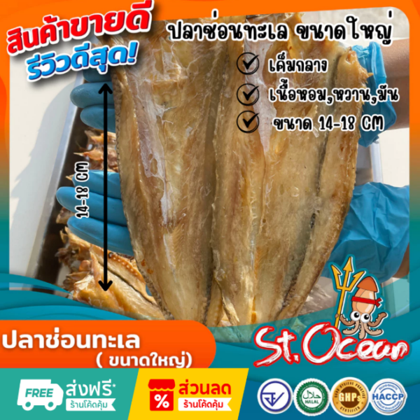ปลาแห้ง ปลาช่อนทะลแห้ง คุณภาพส่งออก มาตรฐาน อ.ย. Halal GMP HACCP