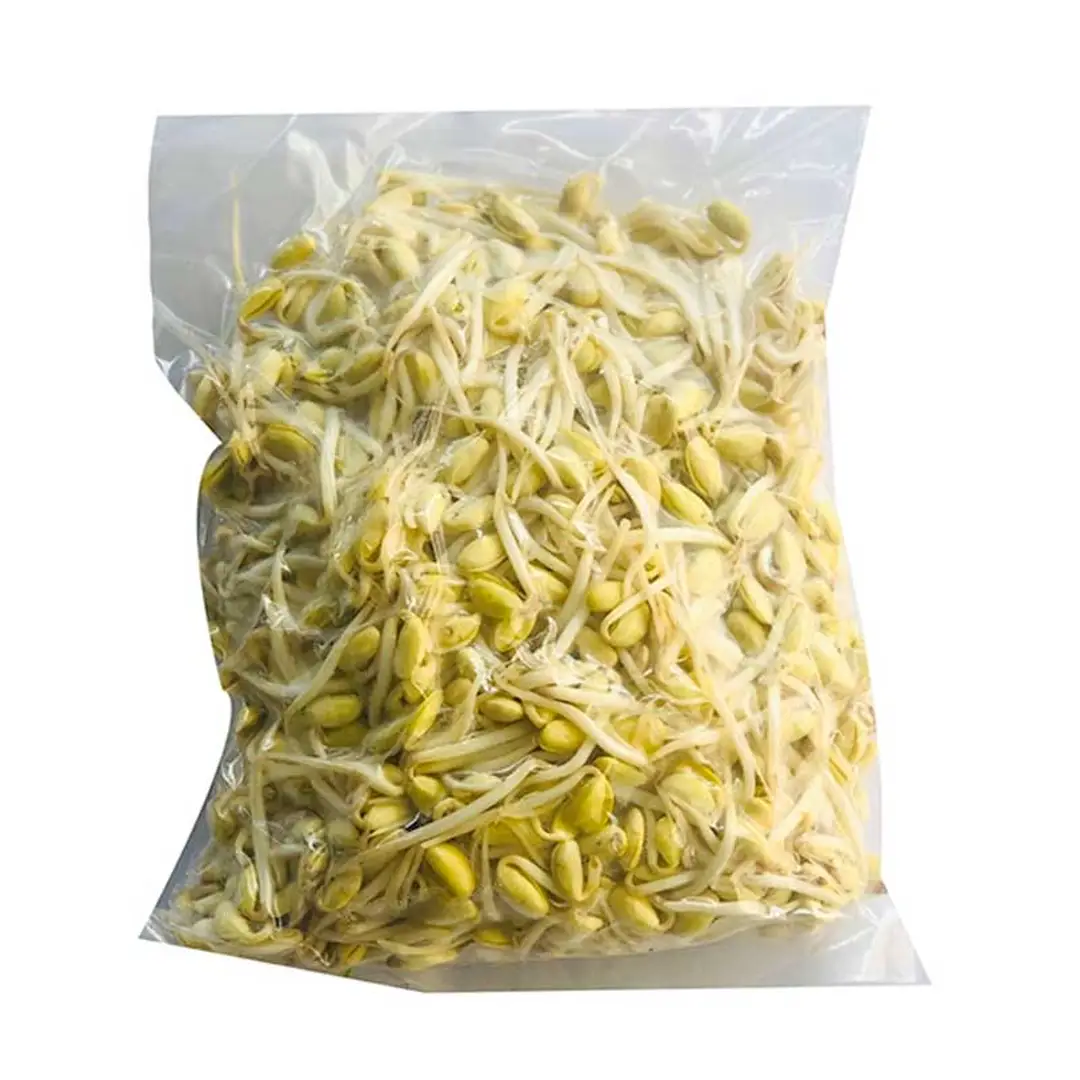 ถั่วงอกธรรมดาหัวโต 500 ก.