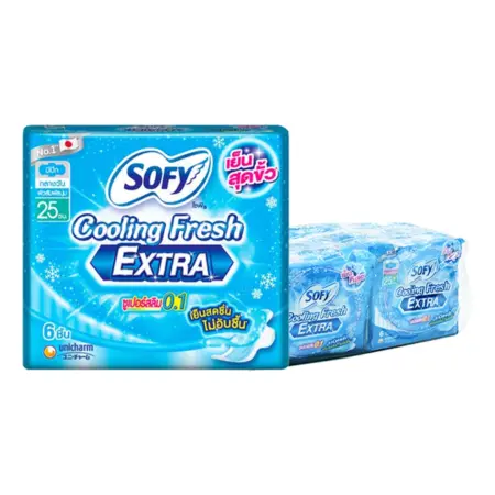 โซฟี คูลลิ่งเอ็กตร้า 25 ซม. 6 แผ่น x 6