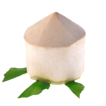 มะพร้าวอ่อนน้ำหอมบ้านแพ้ว 1 ลูก