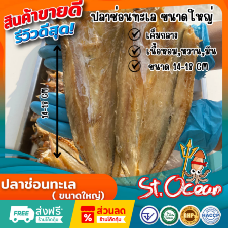 ปลาแห้ง ปลาช่อนทะลแห้ง คุณภาพส่งออก มาตรฐาน อ.ย. Halal GMP HACCP