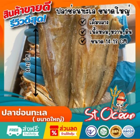 ปลาแห้ง ปลาช่อนทะลแห้ง คุณภาพส่งออก มาตรฐาน อ.ย. Halal GMP HACCP